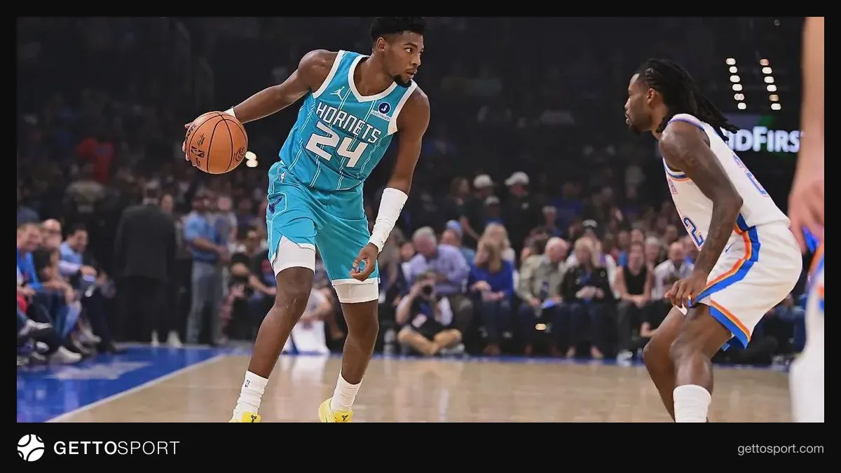 Şarlott Hornets basketbol komandasının loqosu və oyunçuları
