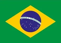 Braziliya millisi